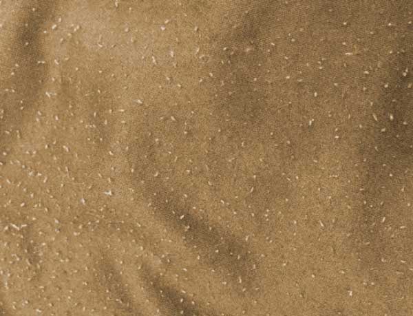 工作服面料起毛球.jpg 工作服面料起毛球.jpg